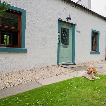 Tig Cottage - A Rural, Quirky, Pet Friendly 2 Bedroom Cottage Near Ballantrae المظهر الخارجي الصورة