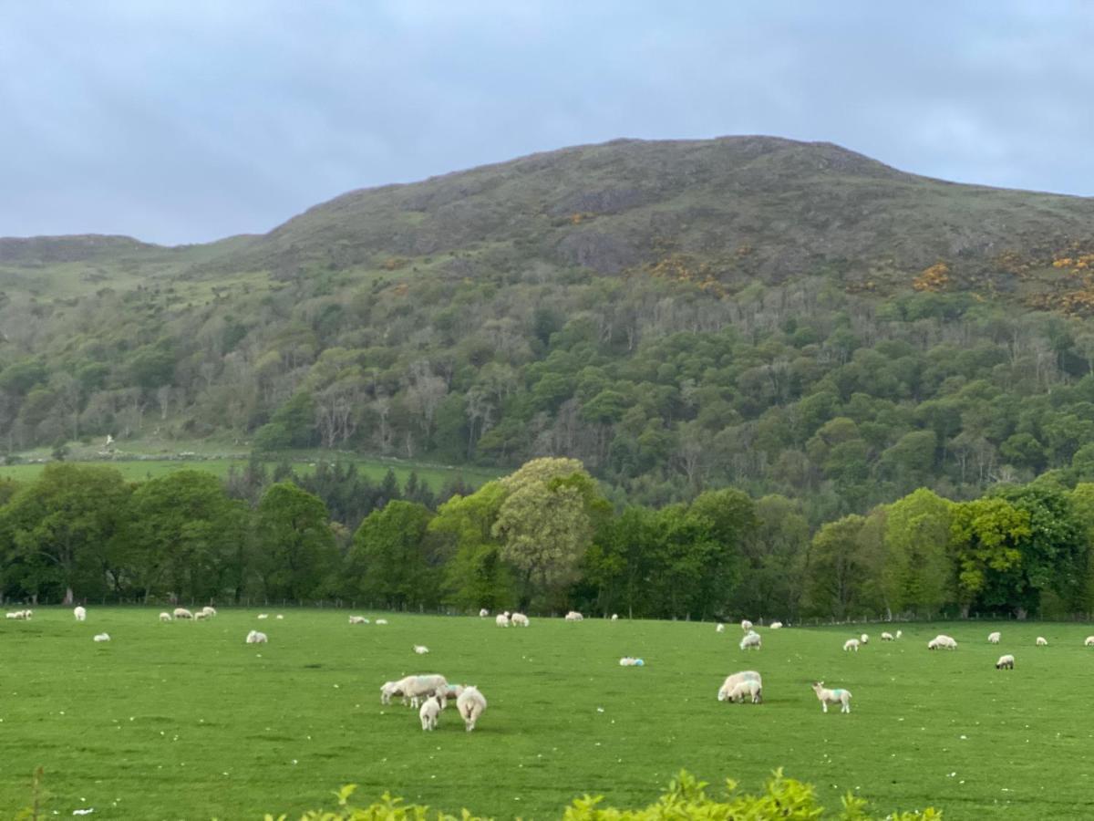 Tig Cottage - A Rural, Quirky, Pet Friendly 2 Bedroom Cottage Near Ballantrae المظهر الخارجي الصورة