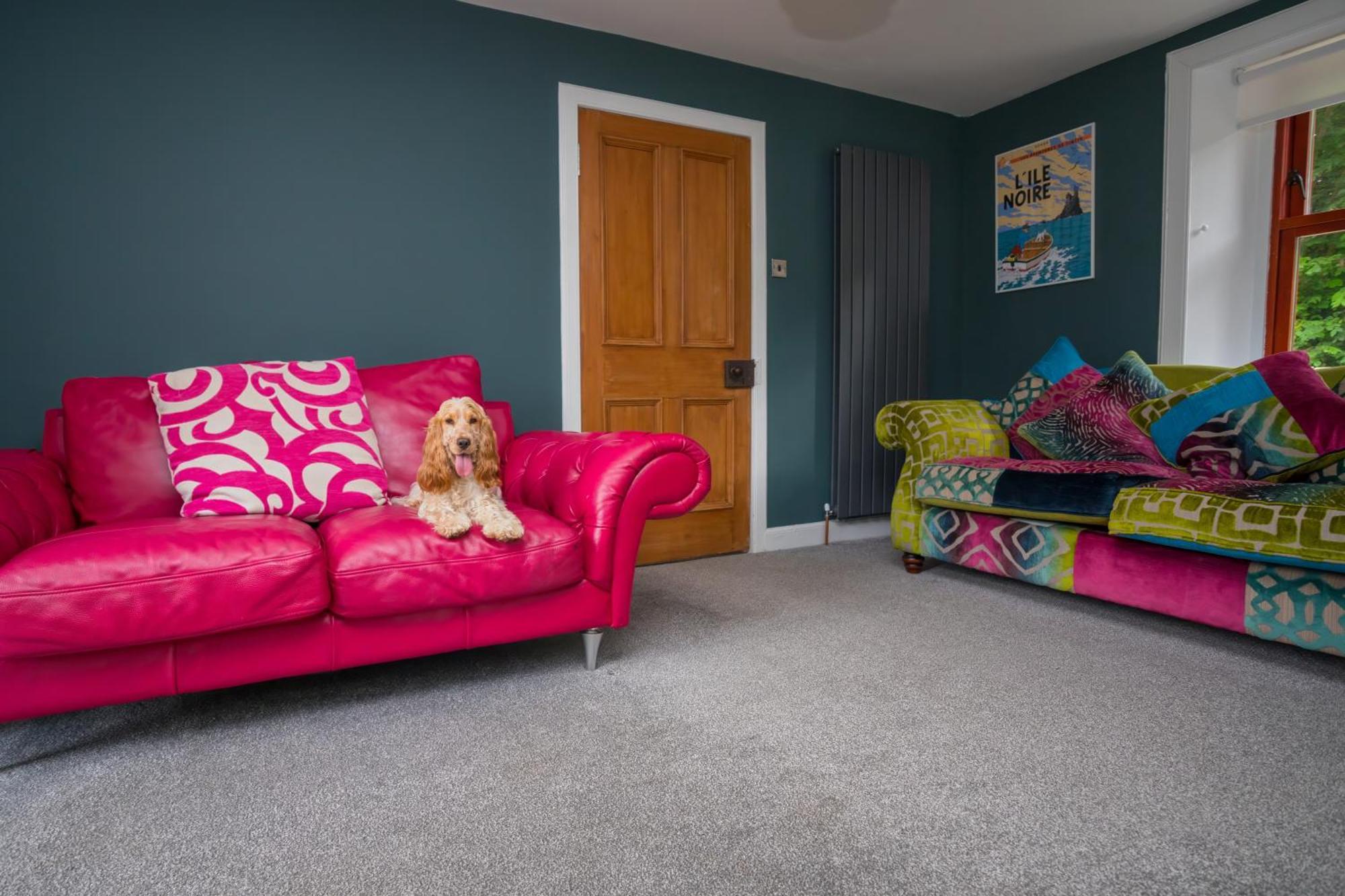 Tig Cottage - A Rural, Quirky, Pet Friendly 2 Bedroom Cottage Near Ballantrae المظهر الخارجي الصورة