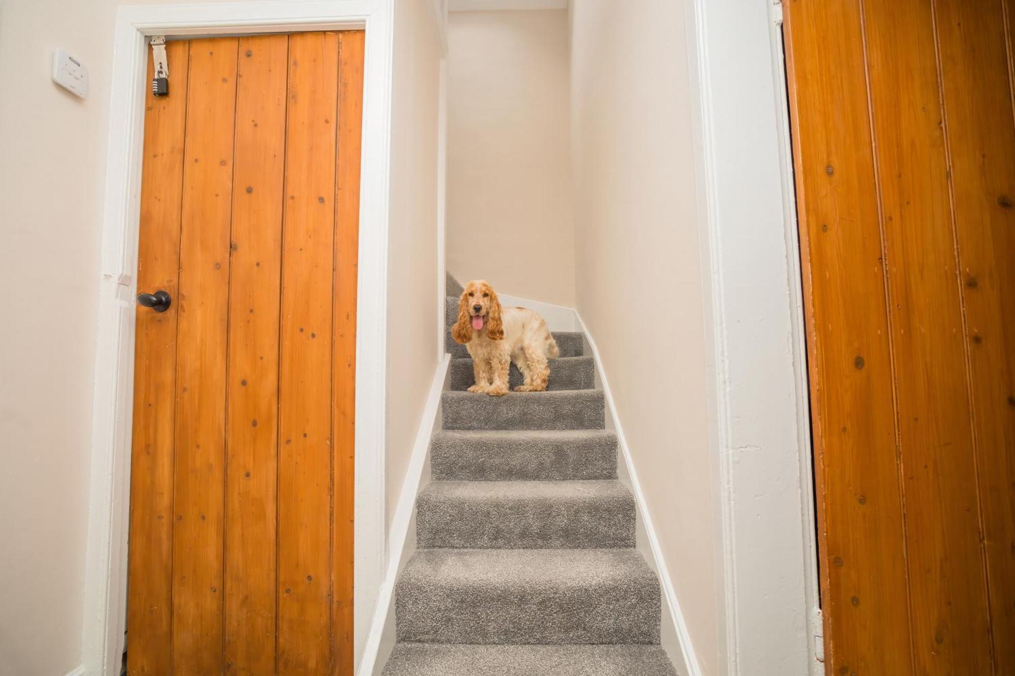 Tig Cottage - A Rural, Quirky, Pet Friendly 2 Bedroom Cottage Near Ballantrae المظهر الخارجي الصورة