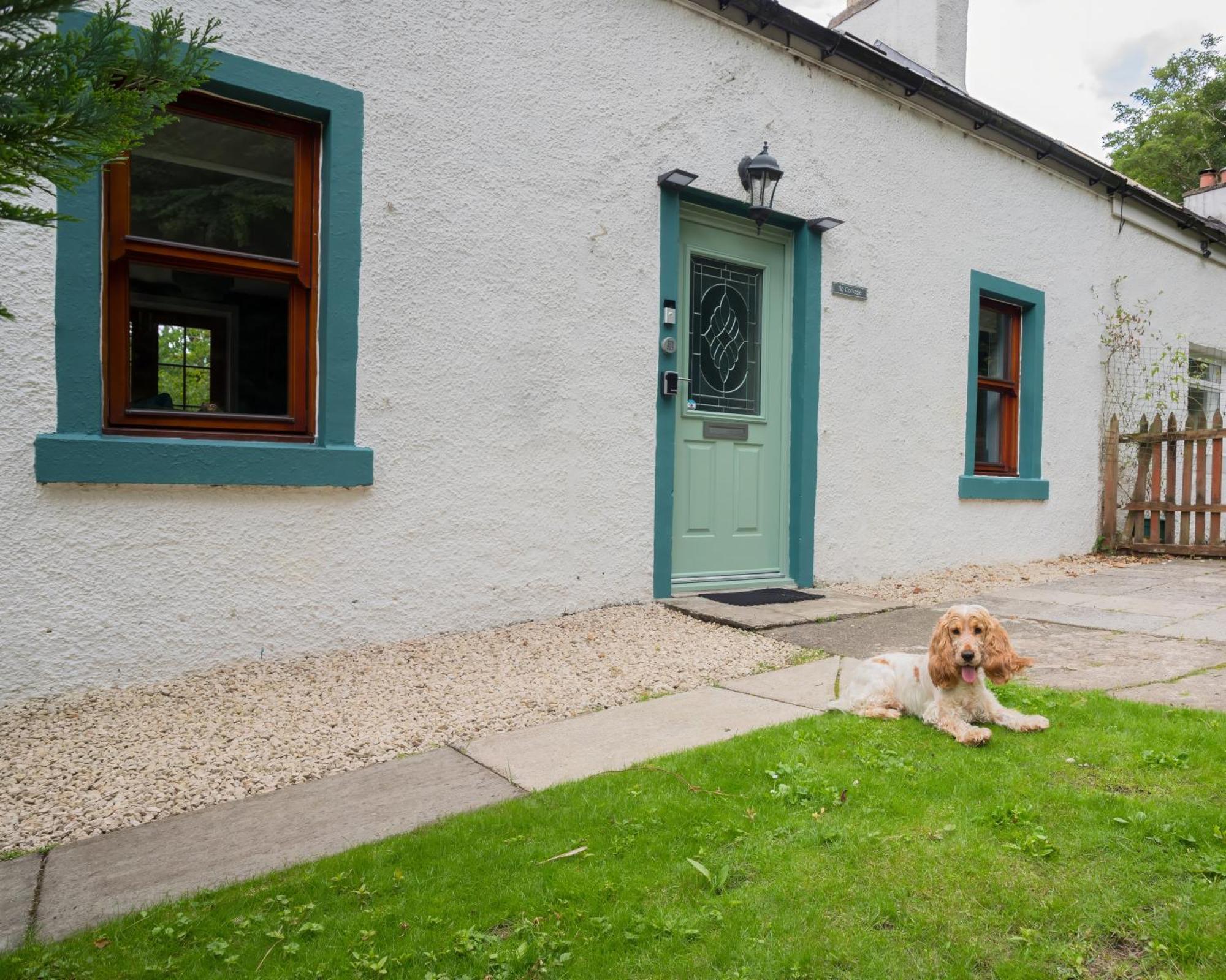 Tig Cottage - A Rural, Quirky, Pet Friendly 2 Bedroom Cottage Near Ballantrae المظهر الخارجي الصورة